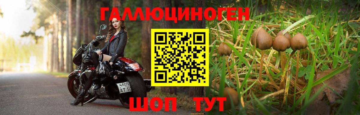 Псилоцибиновые грибы GOLDEN TEACHER  Галлюциногенные грибы MAGIC MUSHROOMS  Новоалександровск  Вход с VPN 
